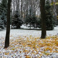 Был снежный день в ноябре. :: Милешкин Владимир Алексеевич 