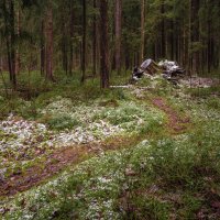 Следы прошедших бурь. :: Олег Бабурин