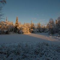 Тихо в лесу,,,,, :: Олег Кулябин