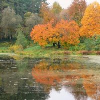 осень :: Владимир Холодницкий