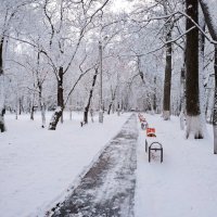 В осенний парк пришла зима :: Валерий Иванович