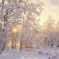 Первый снег. :: Евгений Воропинов