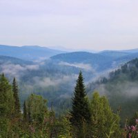 Блуждающие туманы :: Сергей Чиняев 