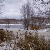 Первый снег в Подмосковье  4 :: Андрей Дворников