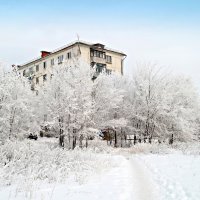 Порадует нас скоро настоящая зима! :: Андрей Заломленков