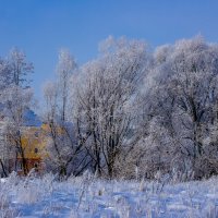 зима наступила! :: Петр Беляков