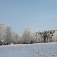 Зима пришла :: Светлана Медведева 