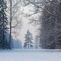 Дремлет под снегом... :: Юрий Куликов