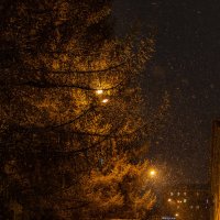 а снег идет... :: Наталья Василькова