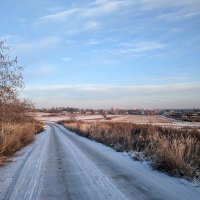 Зимними дорогами :: Марина Птичка