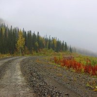 Дорога в туман :: Сергей Чиняев 