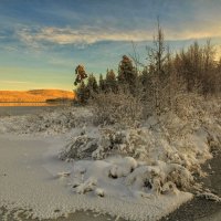 Солнечный день... :: Владимир Чикота 