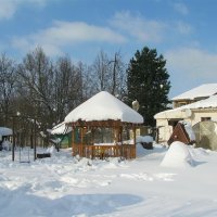 Мой сад зимой :: Людмила Смородинская