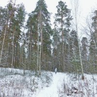 А дорожка в лес зовет :: Raduzka (Надежда Веркина)