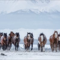 Мороз по коже .. :: Влад Соколовский