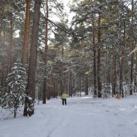 Снежные стёжки,в Каракаралах. :: Андрей Хлопонин