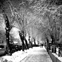 Зима в Новосибирске :: Елена Берсенёва