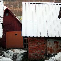 здесь можно и мышку поймать :: Любовь 