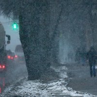 Первый снег :: Владимир Бурмистров