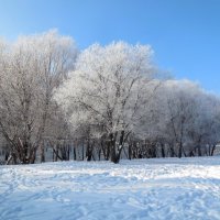 Зима в Самаре :: Надежда 