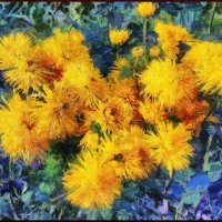 "Желыте цветы" :: Владимир Бровко