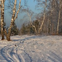 Зима :: tamara kremleva