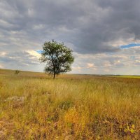 Среди бескрайних степей :: Константин 