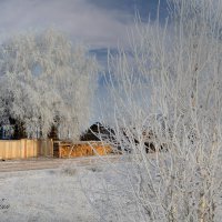 Зимним днём в сибирской деревне :: Сергей Шаврин