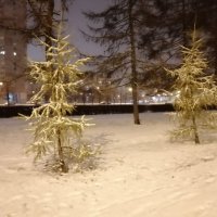 Вечером Снегопад :: Митя Дмитрий Митя