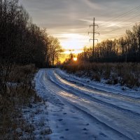 Дорога к солнцу. :: Анатолий. Chesnavik.