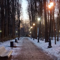 Вечер в парке :: Михаил Танин 