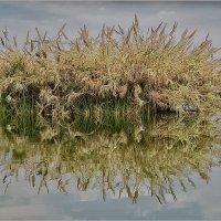 В городском парке :: Lmark 