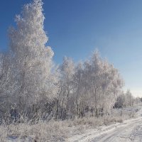 По дороге домой... :: Андрей Заломленков