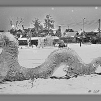 Ледяные скульптуры - дракоша. :: Liudmila LLF