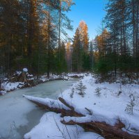 Зимний пейзаж :: Vladimbormotov 