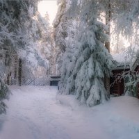 Снежные заносы :: Shapiro Svetlana 