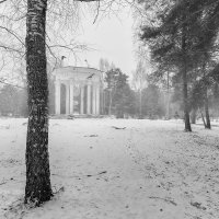 Чёрно-белый зимний пейзаж :: Александр Синдерёв