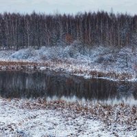 Зимний пейзаж :: Наташа С