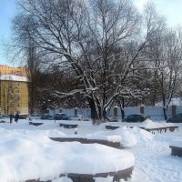 Когда много снега зимой.. :: Елена Семигина
