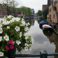 Амстердам ... :: Алёна Савина