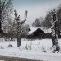 .....не только люди в ней актёры.. :: Любовь 