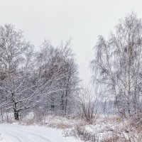 В серости декабря. :: Анатолий. Chesnavik.