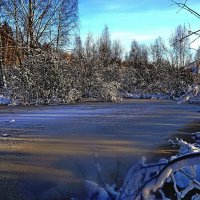Замёрзший прудик лесной :: Анатолий Мо Ка