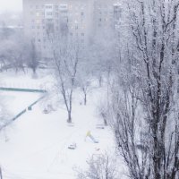 Зимнее утро за окном :: Raduzka (Надежда Веркина)