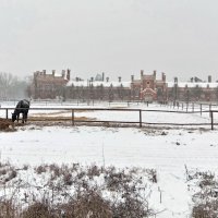 Старожиловский конезавод :: Tarka 