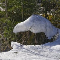 Весной напахнуло. :: юрий Амосов