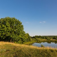 Тёплый солнечный пейзаж :: Александр Синдерёв