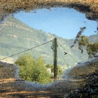 Перевёрнутый  мир. Лужа. Отражение. :: Гала 