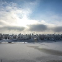 Прогулка по Волжским затонам морозным днем... :: Наталья Меркулова