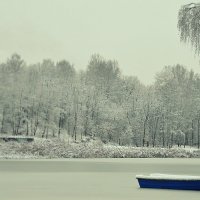 На берегу зимы, во льду... :: Дмитрий 